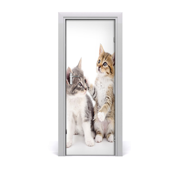 Self-adhesive door sticker Two little cats