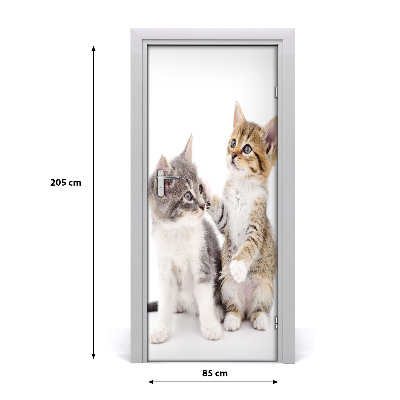 Self-adhesive door sticker Two little cats