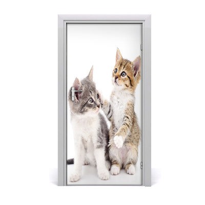 Self-adhesive door sticker Two little cats