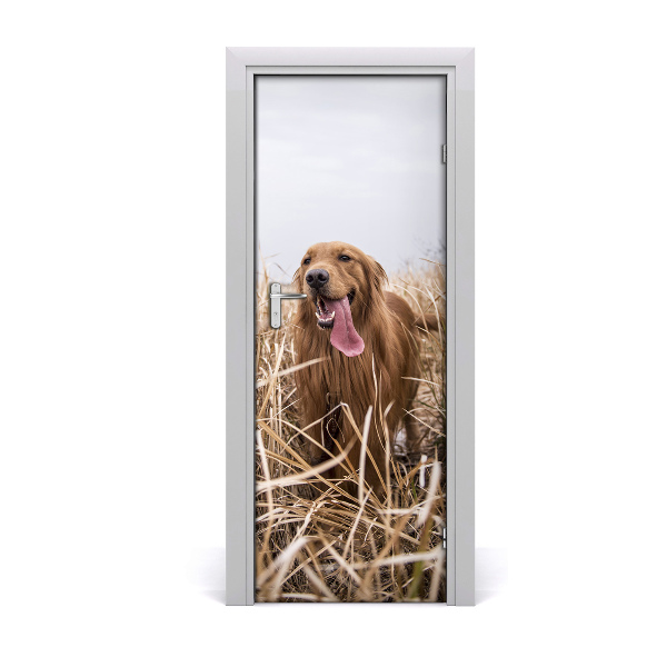 Self-adhesive door sticker Golden retriever