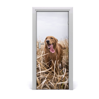 Self-adhesive door sticker Golden retriever