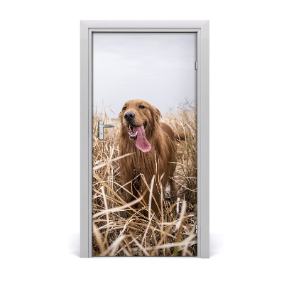 Self-adhesive door sticker Golden retriever