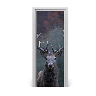 Self-adhesive door wallpaper Deer in nature