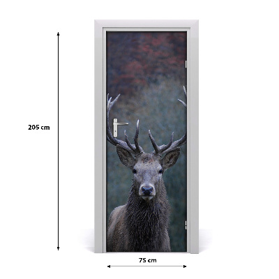 Self-adhesive door wallpaper Deer in nature