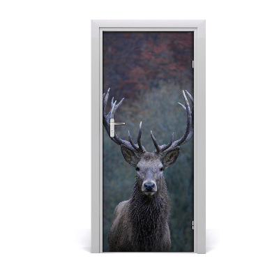 Self-adhesive door wallpaper Deer in nature