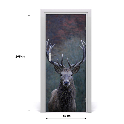 Self-adhesive door wallpaper Deer in nature