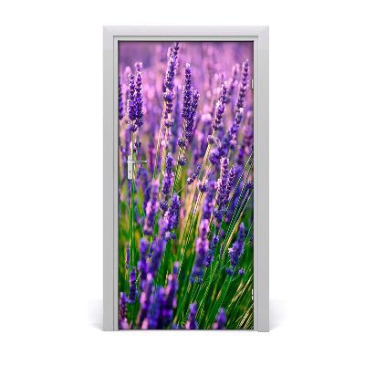 Door adhesive Lavender field