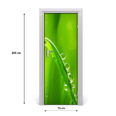 Door adhesive Blades of grass