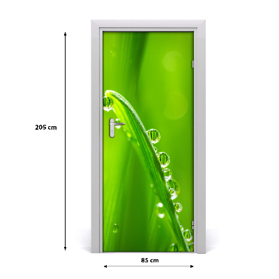 Door adhesive Blades of grass