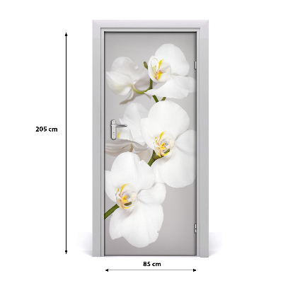 Door adhesive White orchid