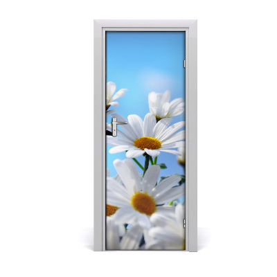 Door adhesive Daisies