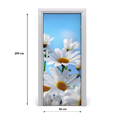 Door adhesive Daisies