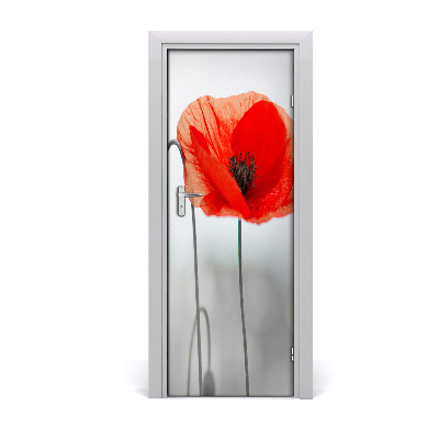 Door adhesive Field poppies