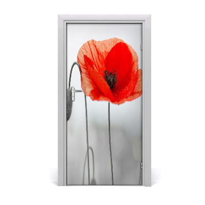 Door adhesive Field poppies