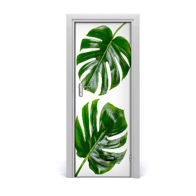 Self-adhesive door veneer Monstera