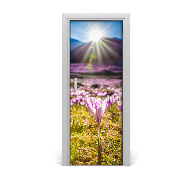 Self-adhesive door sticker Crocuses in the mountains