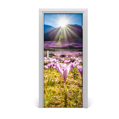 Self-adhesive door sticker Crocuses in the mountains