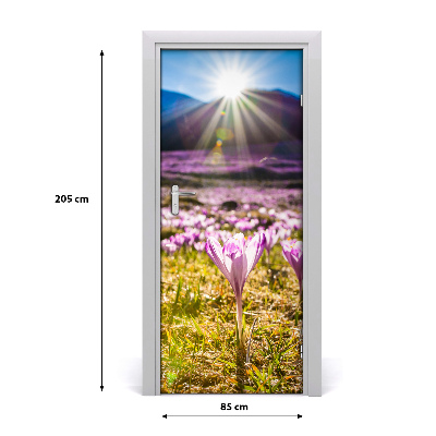 Self-adhesive door sticker Crocuses in the mountains