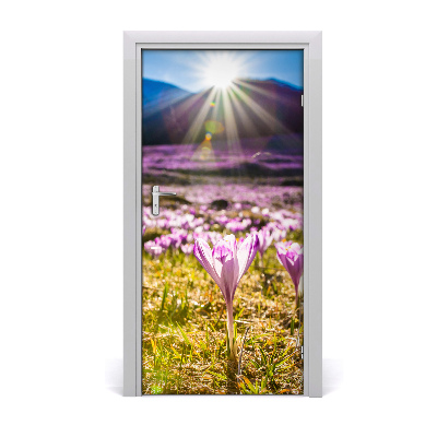 Self-adhesive door sticker Crocuses in the mountains