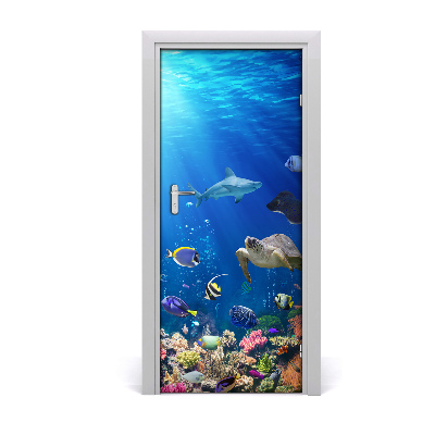 Door wallpaper Coral reef