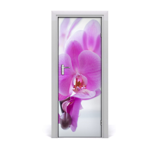 Self-adhesive door veneer Pink orchid