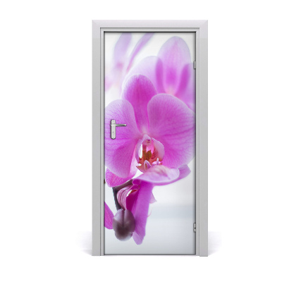 Self-adhesive door veneer Pink orchid