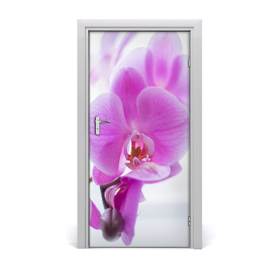 Self-adhesive door veneer Pink orchid