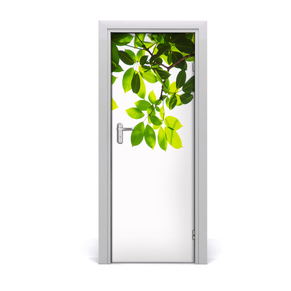 Self-adhesive door veneer Green leaves