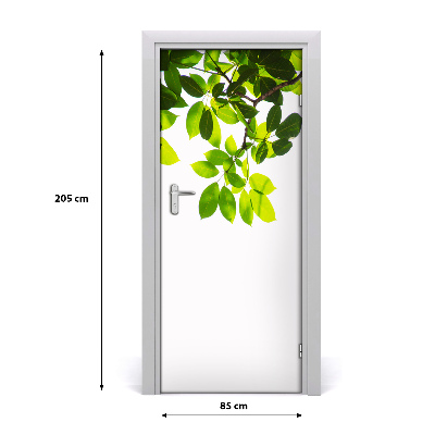 Self-adhesive door veneer Green leaves