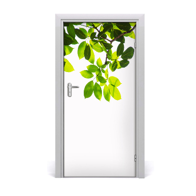 Self-adhesive door veneer Green leaves