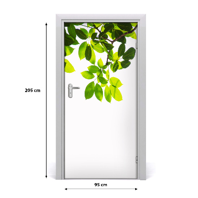 Self-adhesive door veneer Green leaves