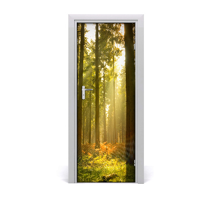 Door wallpaper Landscapes beautiful forest