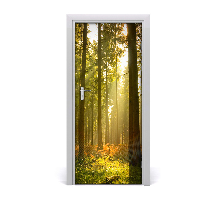 Door wallpaper Landscapes beautiful forest