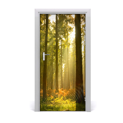 Door wallpaper Landscapes beautiful forest