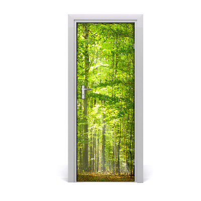 Door wallpaper Landscapes beech forest