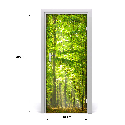 Door wallpaper Landscapes beech forest