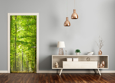 Door wallpaper Landscapes beech forest