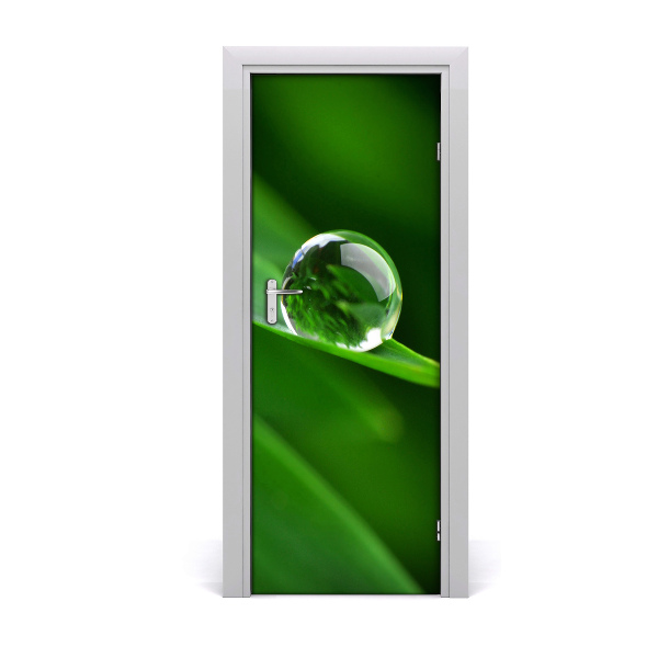 Self-adhesive door veneer A blade of grass