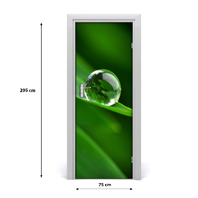 Self-adhesive door veneer A blade of grass