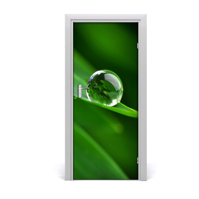 Self-adhesive door veneer A blade of grass