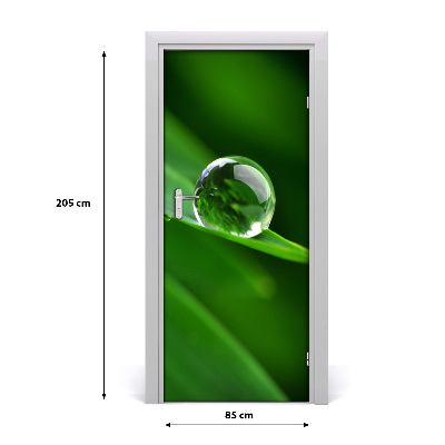 Self-adhesive door veneer A blade of grass