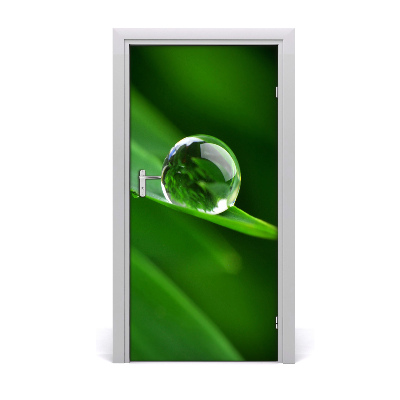 Self-adhesive door veneer A blade of grass