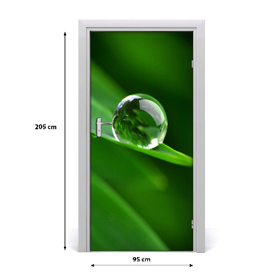 Self-adhesive door veneer A blade of grass