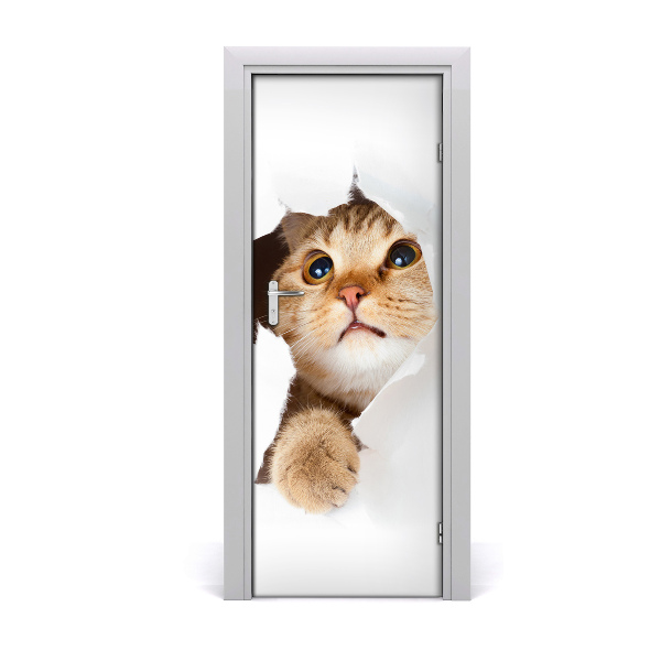 Self-adhesive door sticker Wall cat