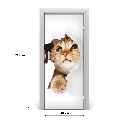 Self-adhesive door sticker Wall cat