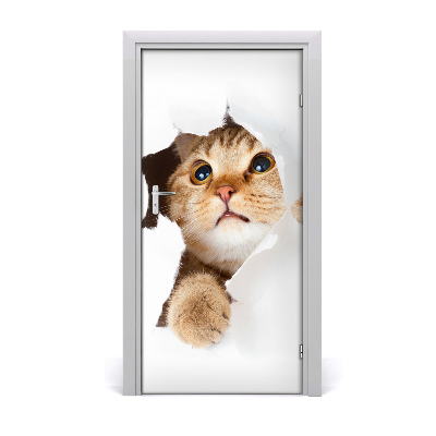 Self-adhesive door sticker Wall cat