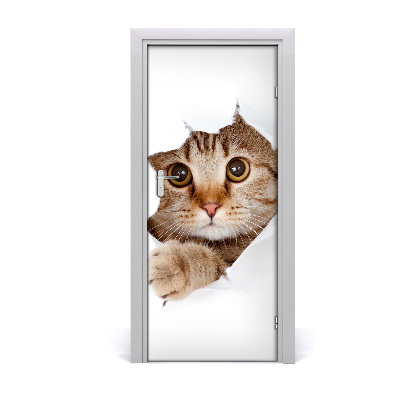 Self-adhesive door sticker Wall cat