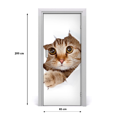 Self-adhesive door sticker Wall cat