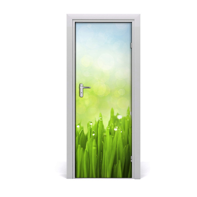 Self-adhesive door veneer Grass