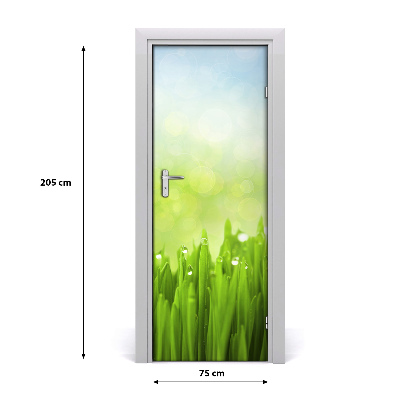 Self-adhesive door veneer Grass